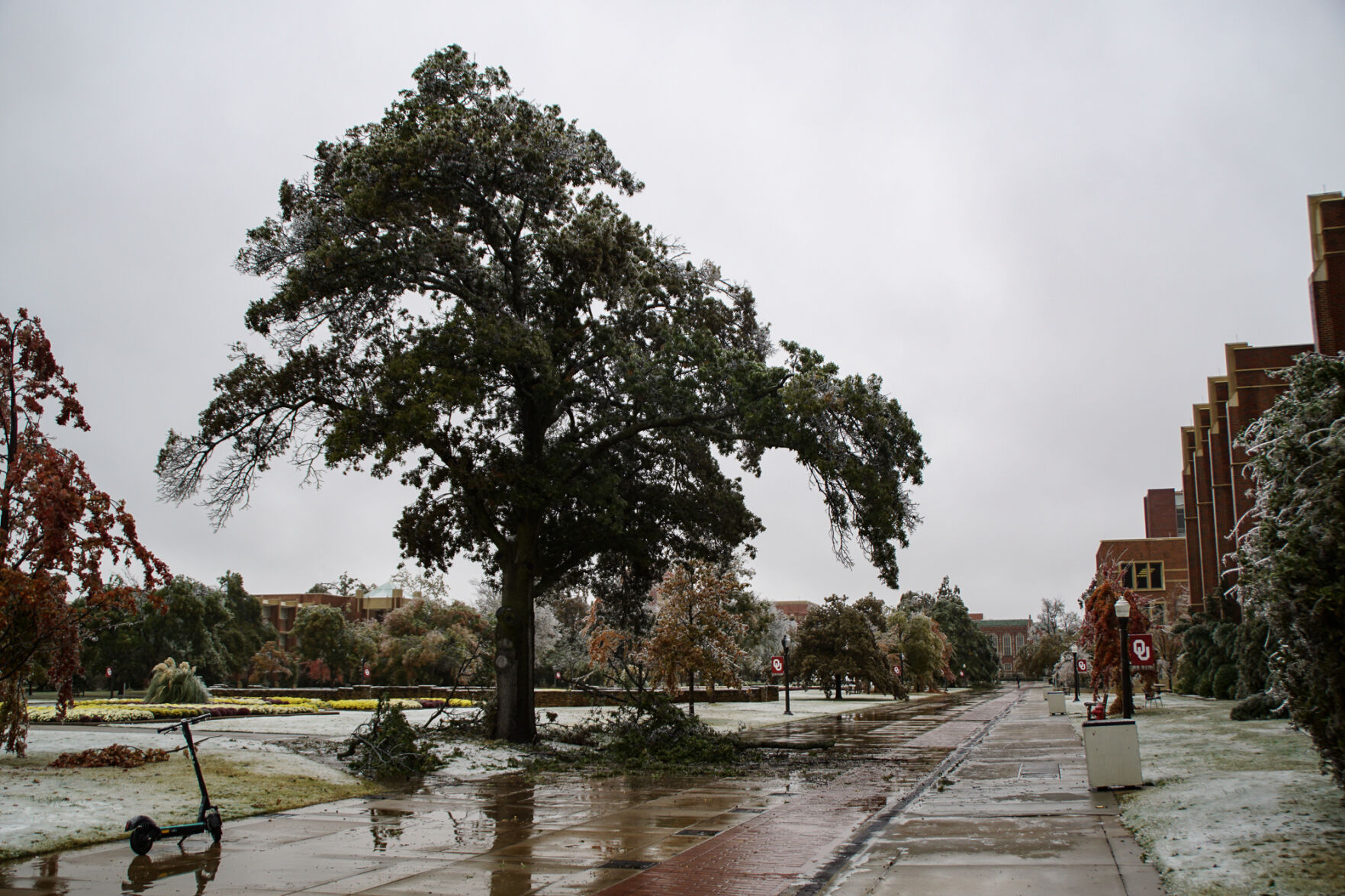 OU campus